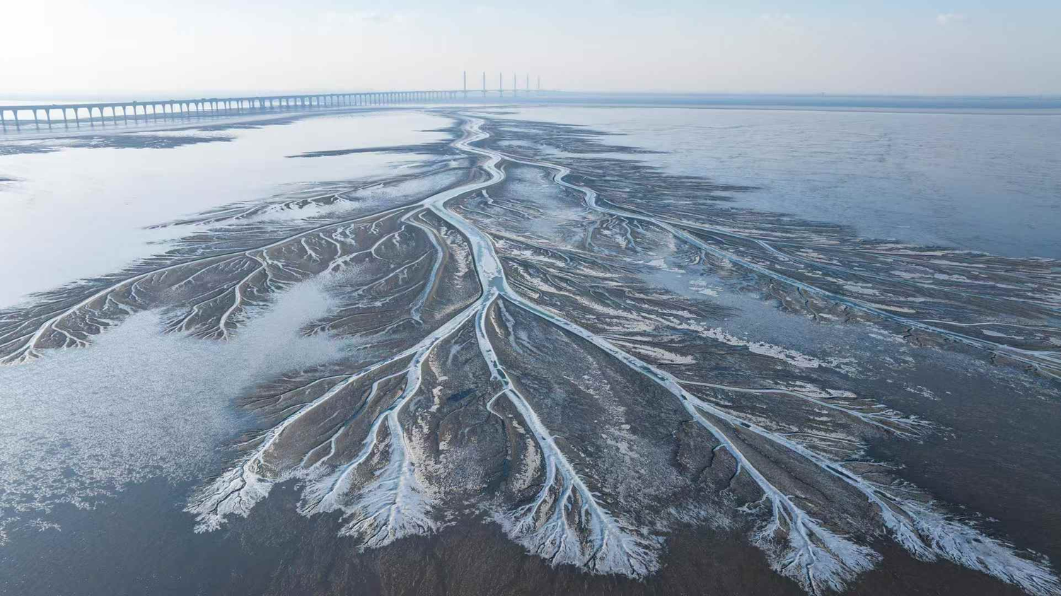 杭州钱塘大湾区湿地公园 (1).png